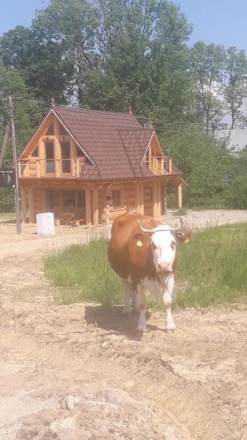 Villa Nad Termami Dzianisz Exterior foto